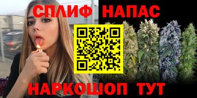 амф Будённовск